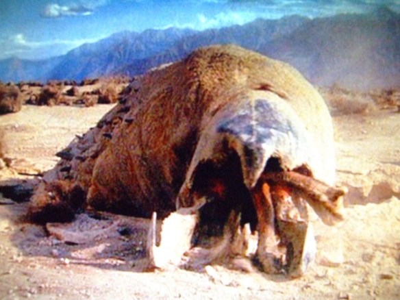 graboid
