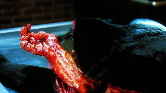 jdLYJe4I0UsG8EUtNZDkpIPHe8v