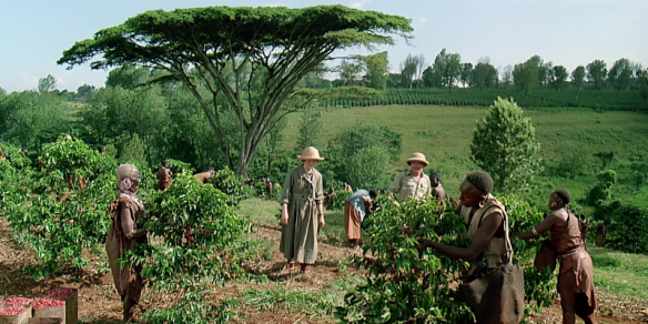 outofafrica1
