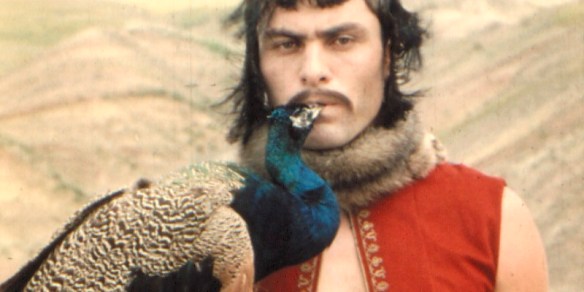 pomegranates peacock