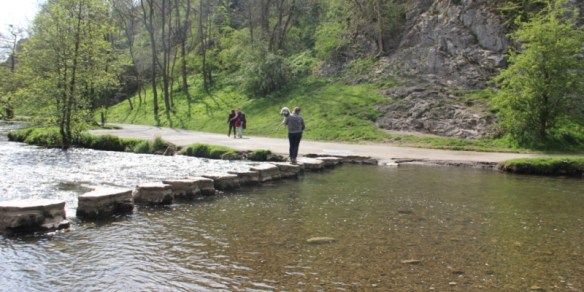 Murphy can't swim. Nor can he use these stepping stones. Therefore, he got carried. Maybe I need to try this next time.