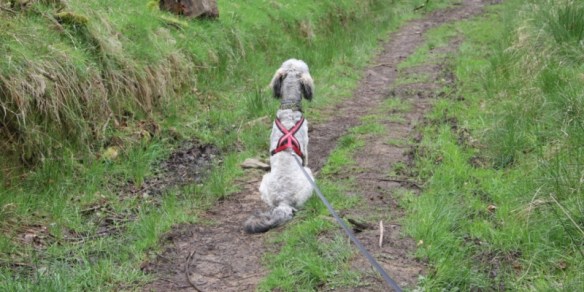 One of the rare occasions when Murphy was actually behaving.